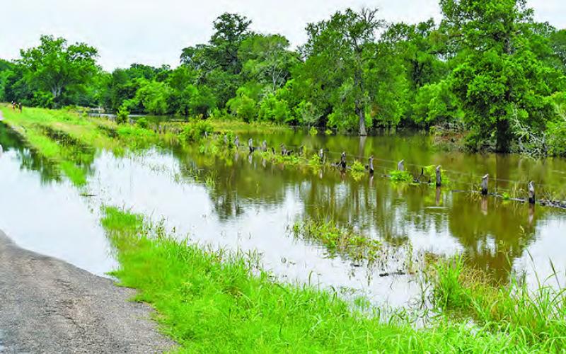 WATER FILLS THIS ditch and goes onto the road on County Road 423.
