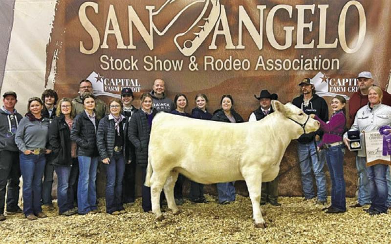 Stockshow Round-Up