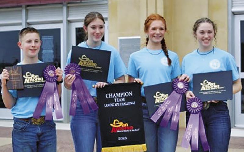 Stockshow Round-Up