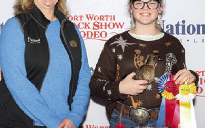 Stockshow Round-Up