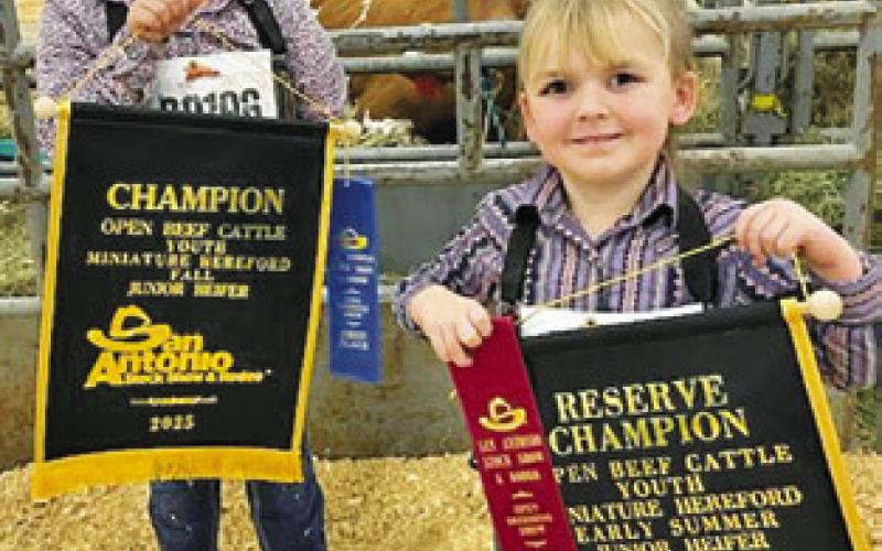 Stockshow Round-Up