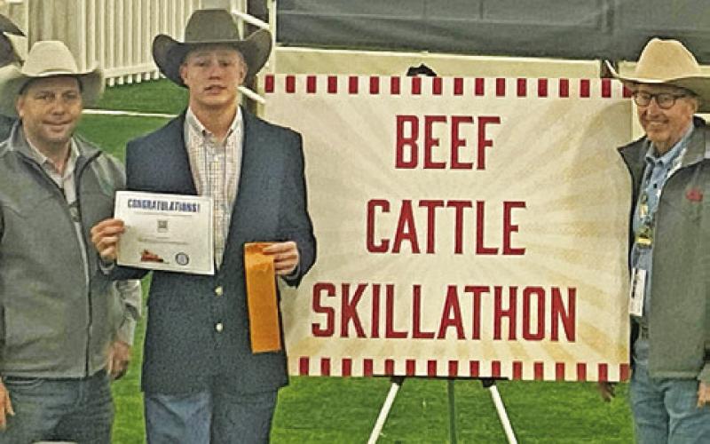 Stockshow Round-Up