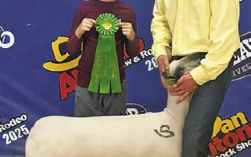 Stockshow Round-Up