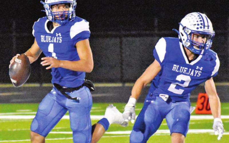 GARRETT LERO PREPARES to throw as Lance Lara gets ready to block in the Milano game. -- Tribune photo by Roy Sanders