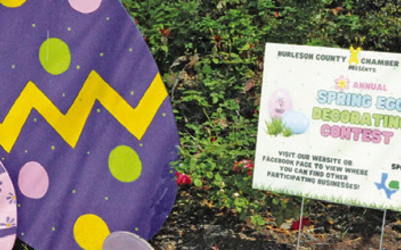THE BURLESON COUNTY CHAMBER of Commerce held its annual Spring Egg Decorating Contest with entries displayed on the Burleson County Courthouse lawn. See next week’s edition of The Tribune for a list of the winners. -- Tribune photo by Denise Squier