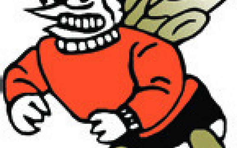 Alt Text for Image