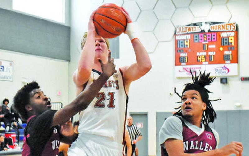 HARRISON NOVAK SHOOTS against Waller JV. The Hornets won 55-48 at the Kolache Capital Tournament. -- Tribune photo by Roy Sanders