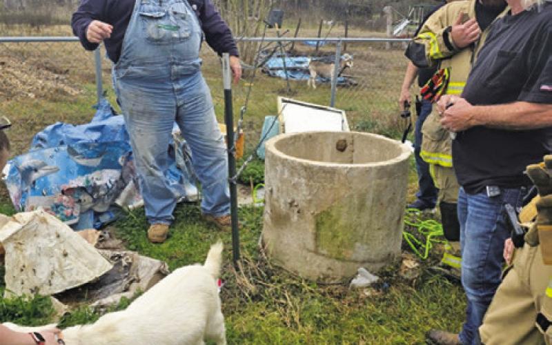 THE GOAT IS back on the ground and happy after being rescued by Caldwell volunteer firefighters on Friday in Chriesman. Photo courtesy of Caldwell VFD