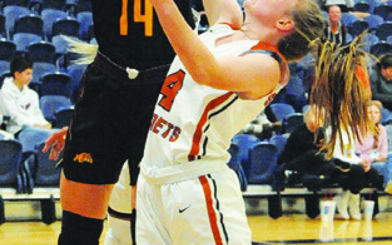 CADIE COSTON fights for a rebound during the Lady Hornets’ home game Friday against Thorndale. -- Tribune photo by Denise Squier