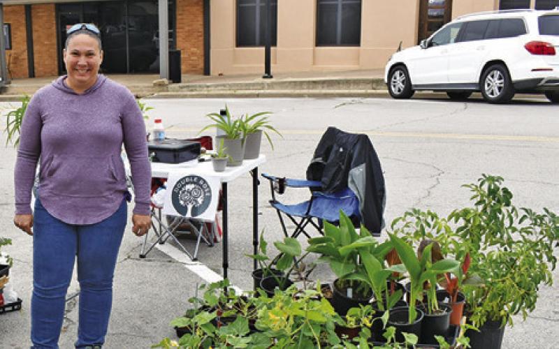 MORANDA KRAKAW of Double Rose LLC displays these plants on Saturday, March 28, at the Farmers Market in downtown Caldwell.