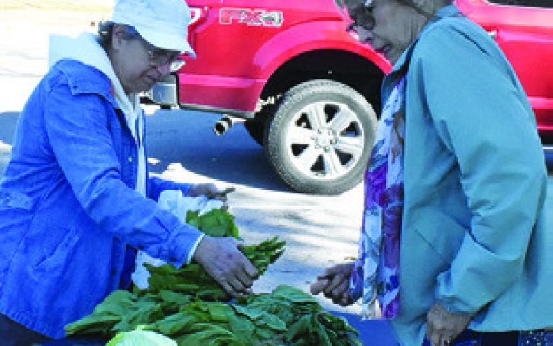 SUE JEFFCO of Laughing Dog Farm in Brenham waits on a customer at the Farmers Market in downtown Caldwell.