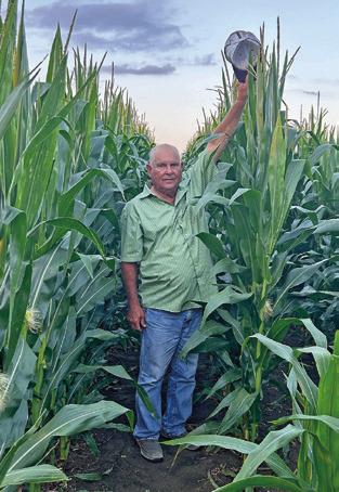 BARNEY HOMEYER STANDS in this tall corn at his farm off State Highway 21 East in Caldwell. It has been a good year for the corn crop.