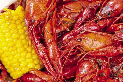 PRODUCERS AND CONSUMERS are feeling the brunt of a dismal crawfish season. Currently, consumers are paying an additional $3-$5 more per pound when the freshwater crustaceans are even available. -- Michael Miller/Texas A&amp;M AgriLife