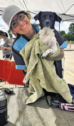 THIS DOG WAS getting a towel drying at Saturday’s dog wash event to support Haven Animal Rescue of Texas (HART).