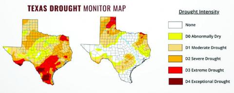 THE DROUGHT MONITOR MAPS for March 24 and June 25 illustrate how rainfall has shifted drought conditions across the state. On March 24, 99% of the state was experiencing some level of drought and the June 25 map shows how conditions improved in most areas and worsened in others. Photo courtesy of U.S. Drought Monitor
