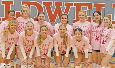 THE LADY HORNETS 