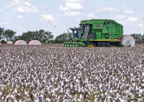 TEXAS COTTON PRODUCERS face early drought concerns and shifting market conditions heading into the 2026 planting season. Photo courtesy of Michael Miller/Texas A&amp;M AgriLife