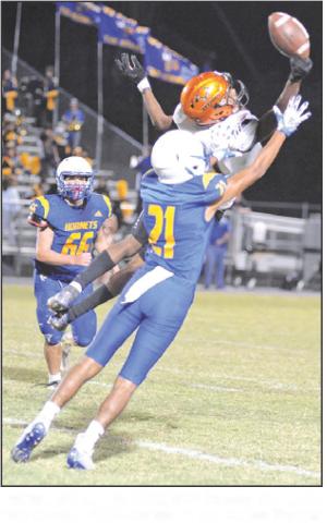 SOMERVILLE’S DOMINIC Tucker dives for this catch. — Tribune photo by Denise Squier