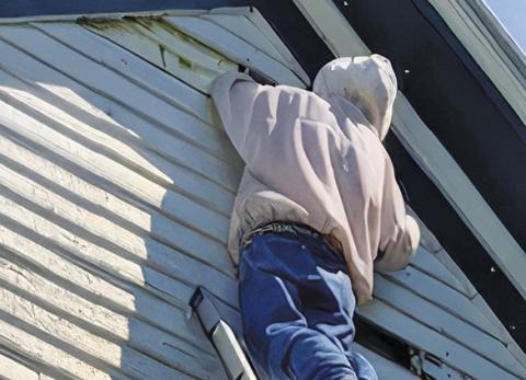THE KRAITCHAR HOUSE recently had several unwanted visitors -- a swarm of bees. The bees were noticed during the painting of the Kraitchar House. Pictured is the bee removal.