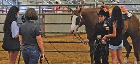 CALDWELL’S SABINE LAZO is currently competing in the Texas State 4-H Horse Show with her horse The Ultimate Attitude, otherwise known as “Cooper.” The show began on Saturday and ends this Friday.