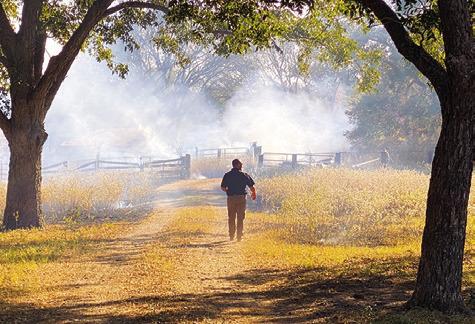 THIS FIRE OCCURRED on Oct. 15 off Private Road 4031 from County Road 119. Multiple fire departments responded to the scene.