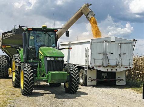 Corn looking good at harvest