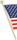 Alt Text for Image