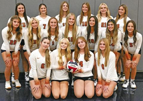 Lady Hornets wish to make a buzz in new district
