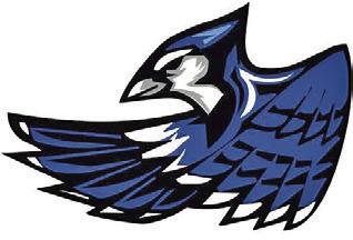 Danbury holds off Lady Jays in fourth for bi-district win