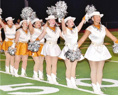 THE CALDWELL HIGH School Honeybees