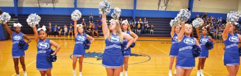 MEET THE BLUEJAYS