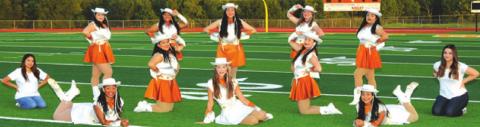THE 2020-2021 CHS HONEYBEES