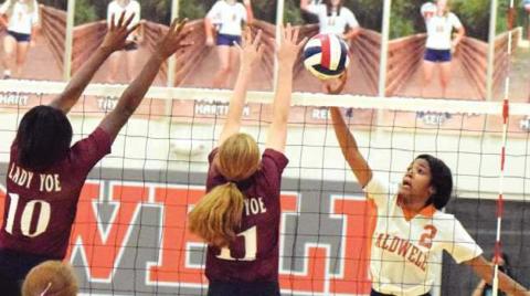 CALDWELL’S AALIYAH MASSINGILL HITS THE ball past Cameron Yoe’s Ja’kerra Holt and Averee Wadlington during the Lady Hornets’ win over the Lady Yoe last Tuesday night at the new Caldwell High School Gym. -- Tribune photo by Denise Hornaday
