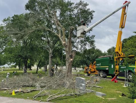 A CREW FROM Davey Tree Company works recently at the Caldwell Masonic Cemetery.