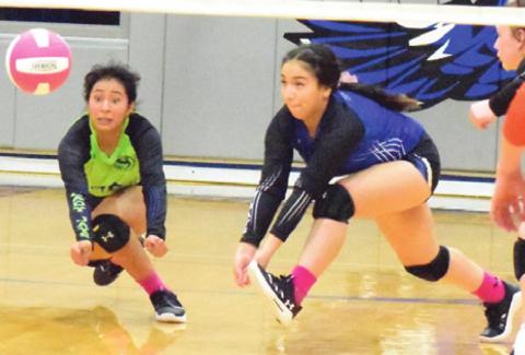 SNOOK’S FRIDA MOTA and Nadio Garcia dive for the ball during the Lady Jays’ match against Somerville. -- Tribune photo by Denise Squier