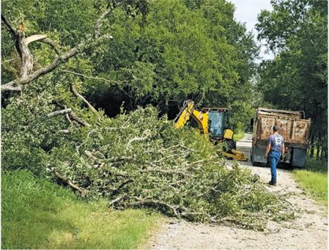BURLESON COUNTY Precinct 4 crews remove trees and limbs along County Road 463.