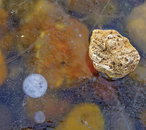 TEXAS A&amp;M AGRILIFE Extension Service will host a free Texas Watershed Steward workshop on Davidson Creek on Nov. 7 in Caldwell. Photo courtesy of Michael Miller/Texas A&amp;M AgriLife
