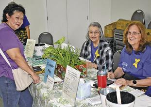 THE LYONS EXTENSION CLUB holds their annual Spring Fling &amp; Craft Sale on Saturday at Harmony Baptist Church. Club members working the table include Linda Pollard and Debby Schumacher. Visiting their table was Elizabeth Warren.