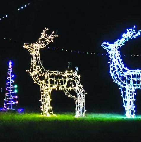 THESE CHRISTMAS LIGHTS on the Burleson County Courthouse lawn are enjoyed by pedestrians and passing motorists.