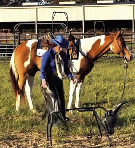 SABINE LAZO AND HER PAINT HORSE, Heza Hugable Jet, in the ground tie portion of their winning Open Ranch Trail run. Tribune photo by Sabine Lazo