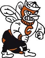Lady Hornet JV fall in district opener