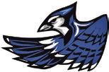 Snook falls 74-48 to district leader Hearne