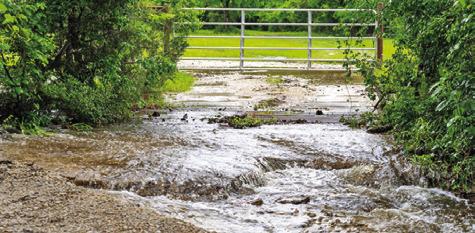 While parts of the state struggle with a lack of rain, others have been experiencing more than the ground can handle in many places. -- Michael Miller/Texas A&amp;M AgriLife