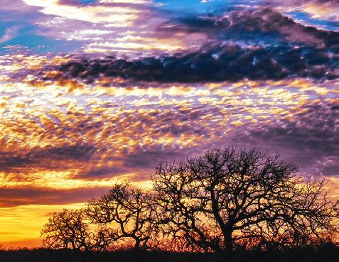 THIS SUNSET WAS visible in the western sky on Sunday, Jan. 4, off County Road 333 in north Burleson County. Tribune photo by Roy Sanders