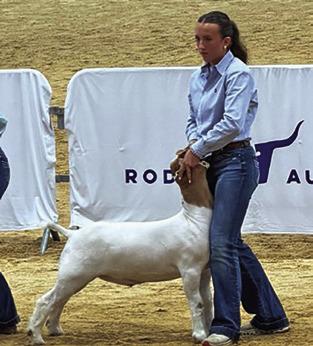 KYLIE VOGLER, CALDWELL FFA, showed in the Commercial Doe class at SALE and placed eighth in the Market Goat class at Rodeo Austin. Photo courtesy of Abigail Wolski