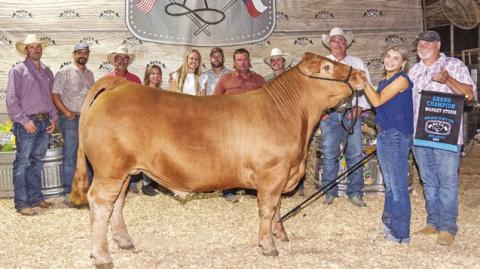 THE GRAND CHAMPION Market Steer was exhibited by Madalyn Faust. She is pictured with Jeff Baldwin, Branden Faust, Stephen Hibbeler, Margaret Hibbeler, Holdyn Novosad, Cody Novosad, Brad Novosad, Hank Herrmann, Jeff Brown and Josh Hill. Photo courtesy of Jeffries Livestock Marketing