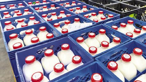 WHILE DEMAND FOR fluid milk continues to decline, dairy products like cheese and whey continue to translate into higher demand for raw milk from Texas dairies. Photo courtesy of Michael Miller/Texas A&amp;M AgriLife