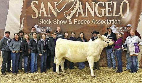 Stockshow Round-Up