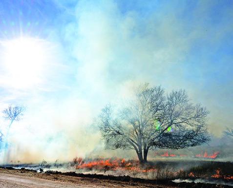 THIS WILDFIRE IS a reminder that Texans should be prepared to evacuate if needed.