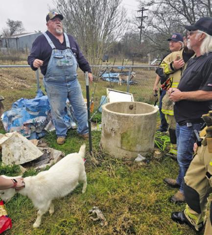 THE GOAT IS back on the ground and happy after being rescued by Caldwell volunteer firefighters on Friday in Chriesman. Photo courtesy of Caldwell VFD